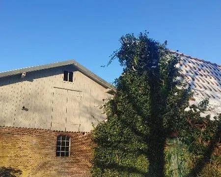 Feriehus Ferienwohnung Maass *